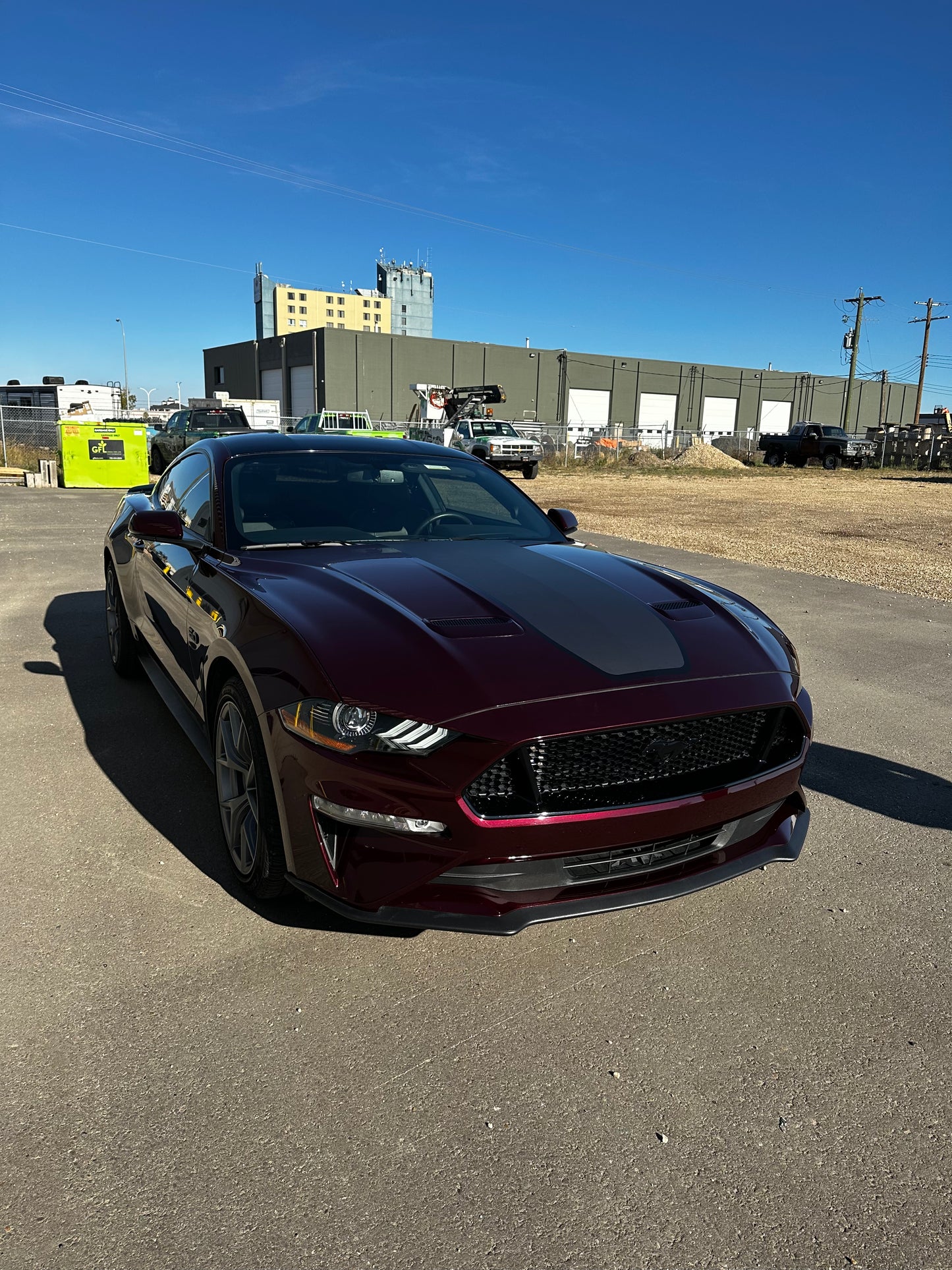 Custom Vehicle Wrap Designs - Printed