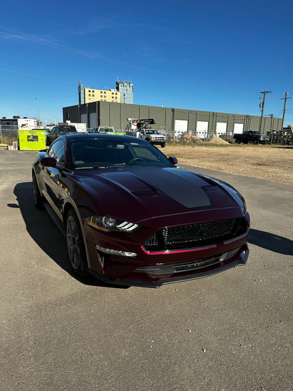 Custom Vehicle Wrap Designs - Printed