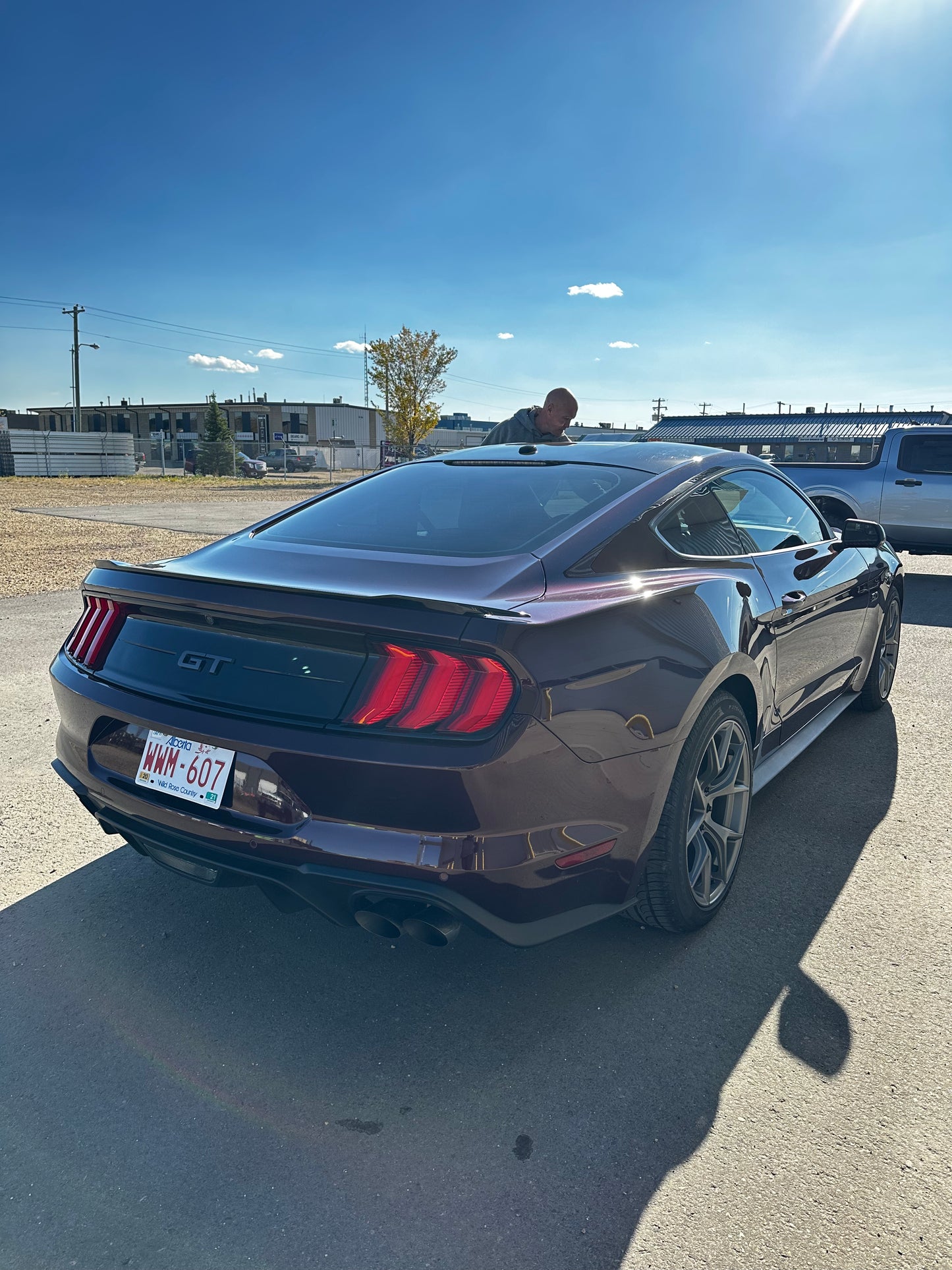 Custom Vehicle Wrap Designs - Printed